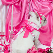 Frenchie Duo Reversible Harness - Pink Bows