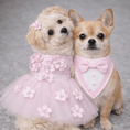 Load image into Gallery viewer, Pink Ceremony Tuxedo Bandana
