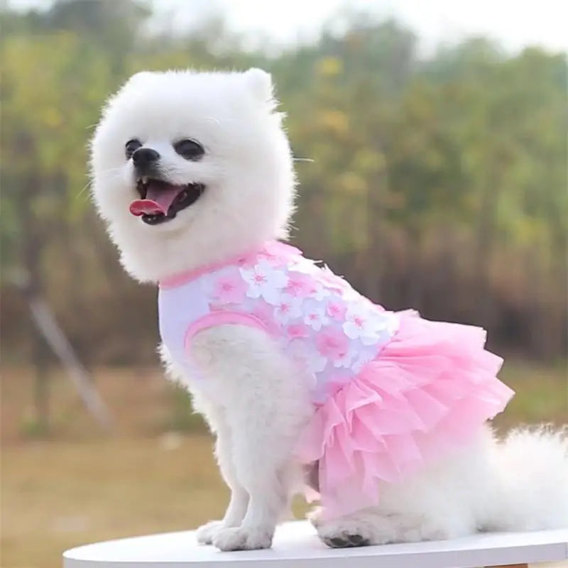 Floral Lace Chiffon Dog Tutu Dress