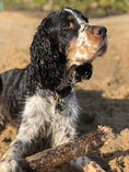 Load image into Gallery viewer, Pink Garden Dog Collar
