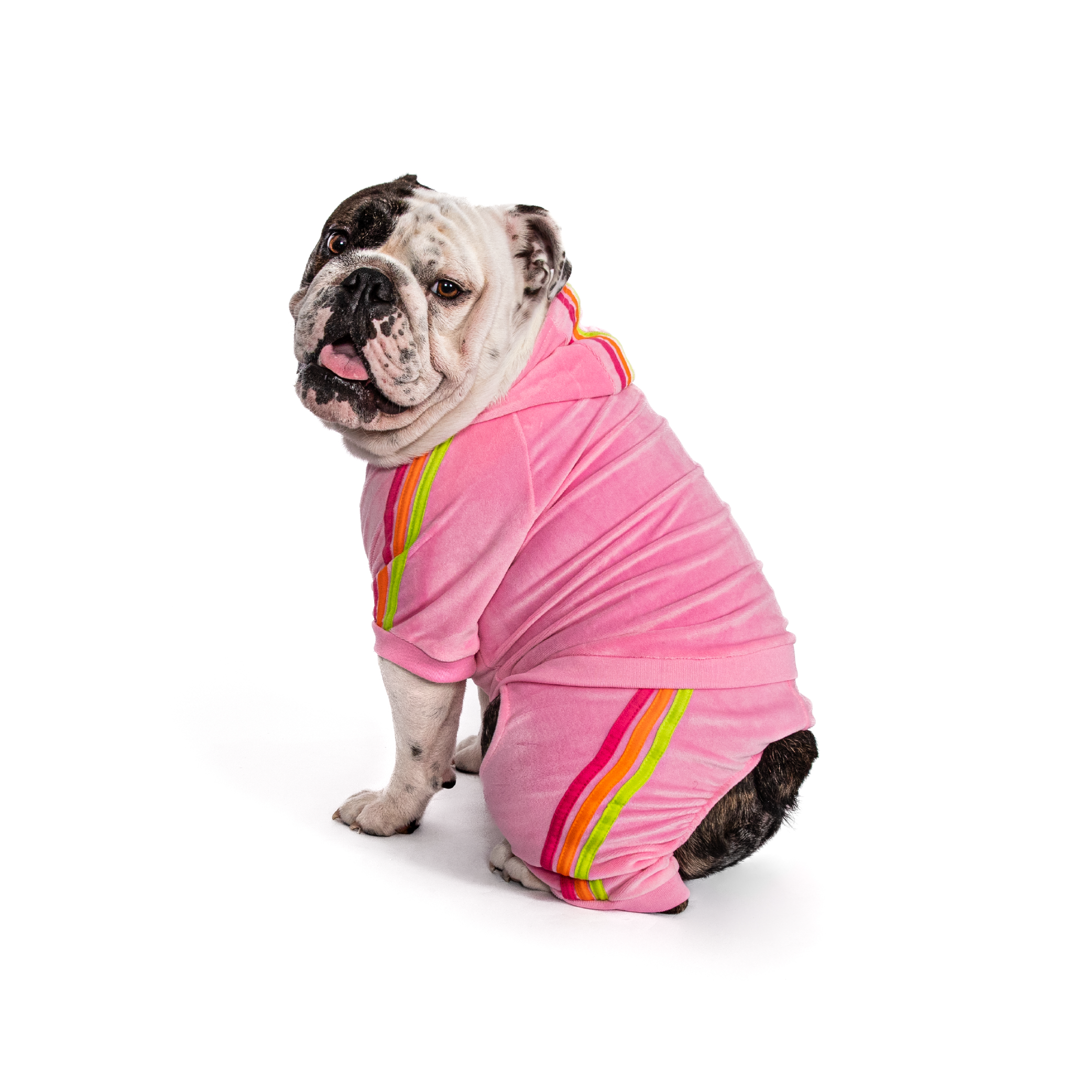 Pink Velour Jogger - Southlake Paws