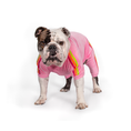 Load image into Gallery viewer, Pink Velour Jogger - Southlake Paws
