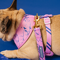Load image into Gallery viewer, Frenchie Duo Reversible Harness - Pink Marble

