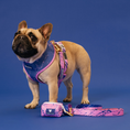 Load image into Gallery viewer, Frenchie Duo Reversible Harness - Pink Marble
