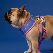 Frenchie Duo Reversible Harness - Pink Marble