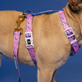 Load image into Gallery viewer, Frenchie Strap Harness - Pink Marble
