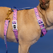 Frenchie Strap Harness - Pink Marble