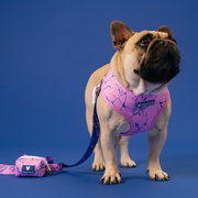 Frenchie Duo Reversible Harness - Pink Marble