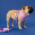 Load image into Gallery viewer, Frenchie Duo Reversible Harness - Pink Marble
