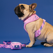Frenchie Duo Reversible Harness - Pink Marble