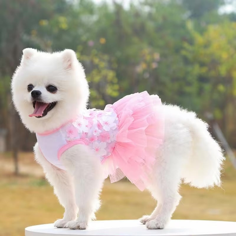 Floral Lace Chiffon Dog Tutu Dress