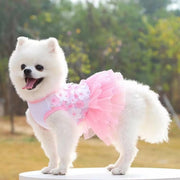 Floral Lace Chiffon Dog Tutu Dress