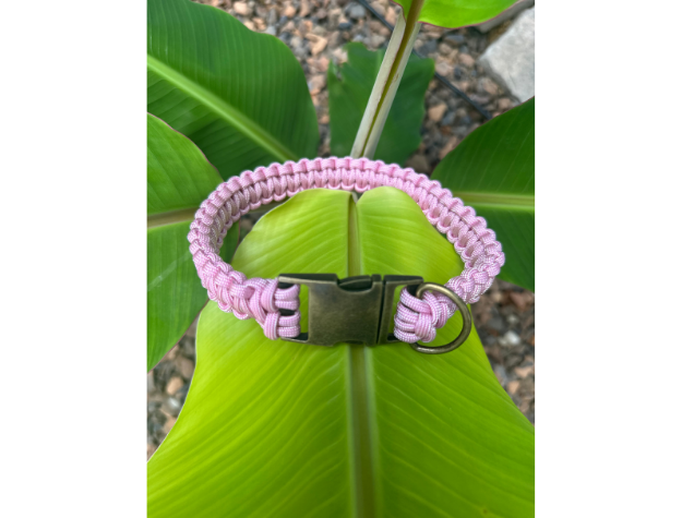 Cobra Braid in Pink & White Stripes - Handmade Dog Collar - Southlake Paws