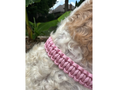 Load image into Gallery viewer, Cobra Braid in Pink & White Stripes - Handmade Dog Collar - Southlake Paws
