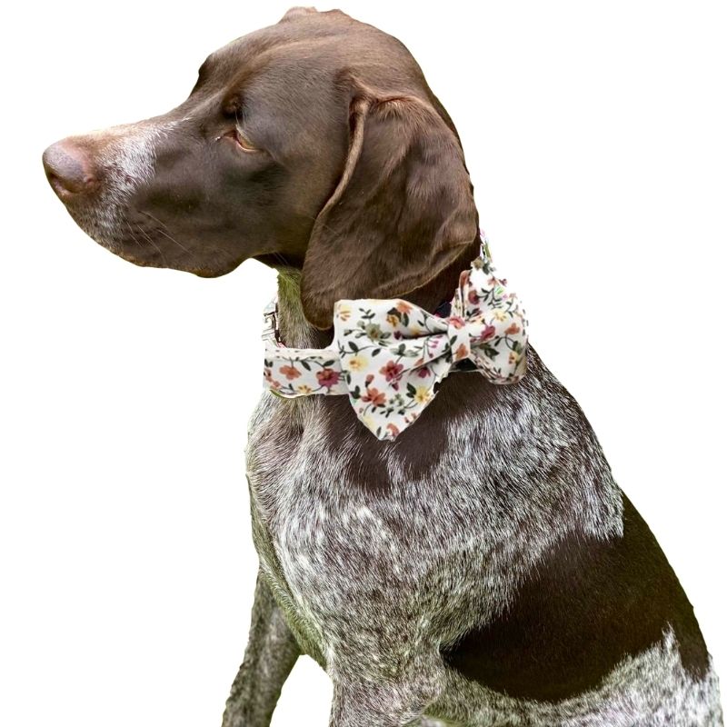 White Floral Bow Tie Dog Collar & Leash Set | Personalized Free - Southlake Paws