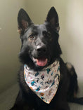 Load image into Gallery viewer, Pirate Shark Bandana
