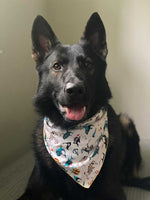 Pirate Shark Bandana