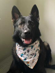 Pirate Shark Bandana
