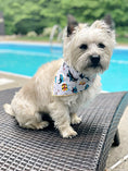 Load image into Gallery viewer, Pirate Shark Bandana
