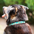 Load image into Gallery viewer, Pizza Lover Dog Collar

