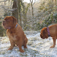 Load image into Gallery viewer, Plaid Dog Collars, Leads, and Bows - 4 Styles
