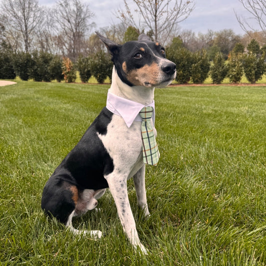 The Vineyard Tie Collection