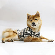 Plaid Dog Dress Coat 