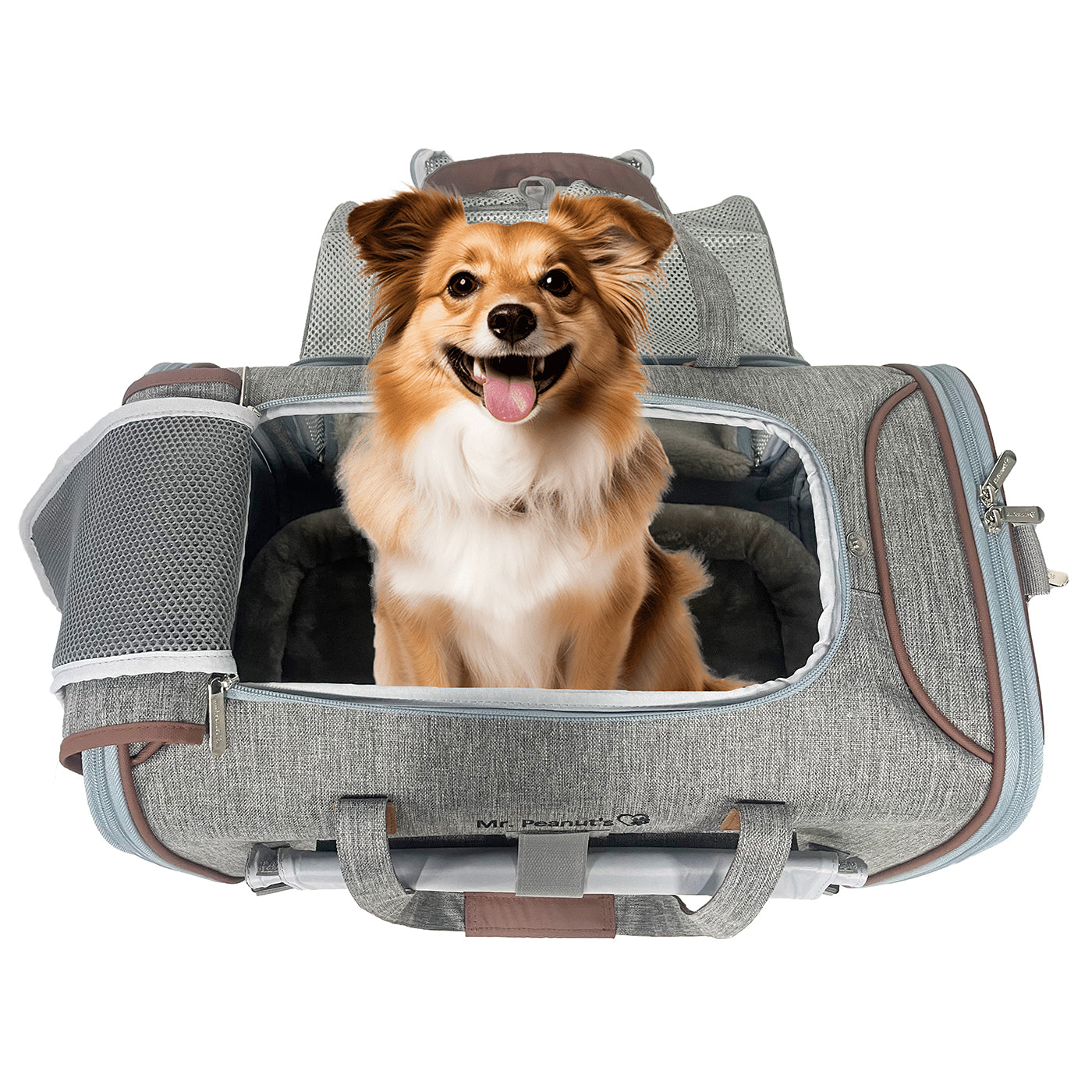 Mr. Peanut's Gold Series Big Apple XL Size Airline Compliant Expandable Pet Carrier - Southlake Paws