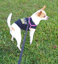 Load image into Gallery viewer, Parisian Pet 'Police' K-9 Unit Dog Outfit – Comfortable Uniform for Small Dogs & Cats, Black
