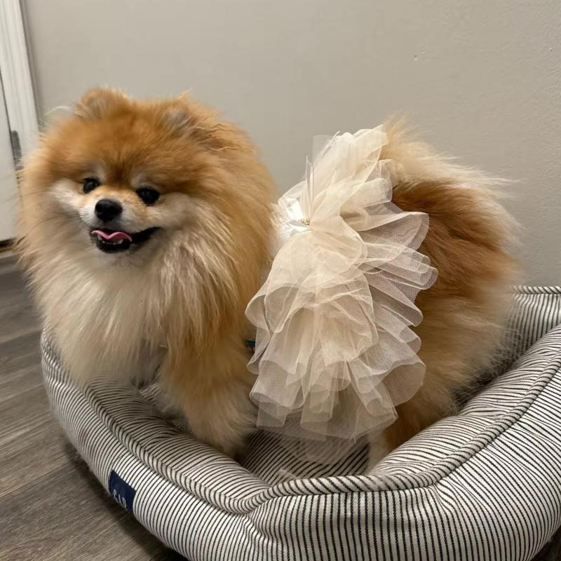 Fancy Bridal Dog Tutu Party Dress - Southlake Paws