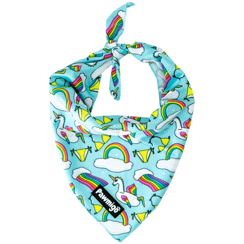 Pool Pawty Bandana - Southlake Paws