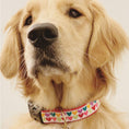 Load image into Gallery viewer, Pop Hearts Dog Collar
