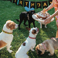 Load image into Gallery viewer, Pop Hearts Dog Collar
