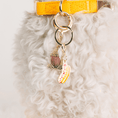 Load image into Gallery viewer, Hotdog & Popcorn Pet Charm Set
