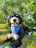 Load image into Gallery viewer, Popsicles Summer Dog Bandana
