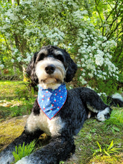 Popsicles Summer Dog Bandana
