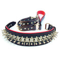 Load image into Gallery viewer, Set collar and leash. spikes & stainless steel, 2.8 inch wide. Made in Europe!
