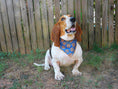 Load image into Gallery viewer, Pretzel Dog Bandana
