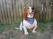 Pretzel Dog Bandana