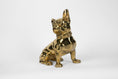 Load image into Gallery viewer, French Bulldog or "Frenchie" Dog Sculpture in Brass
