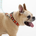 Load image into Gallery viewer, Pumpkin Spice Printed Dog Collar - Brown
