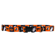 Pumpkin Patch Dog Collar