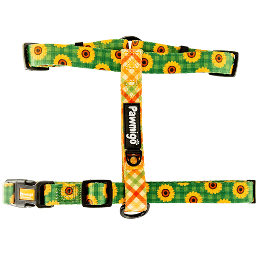 Pupkin Patch Free-Fit Harness - Southlake Paws