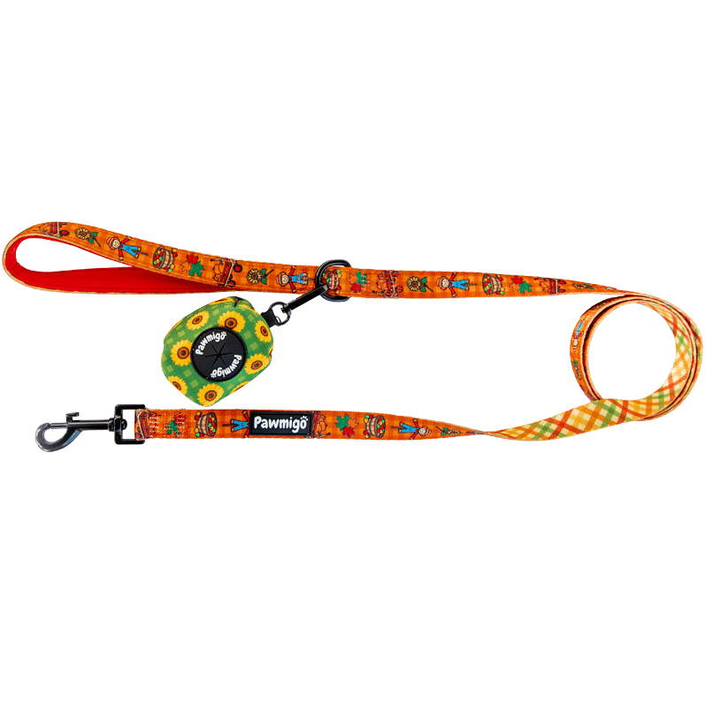 Pupkin Patch Leash Kit - Southlake Paws