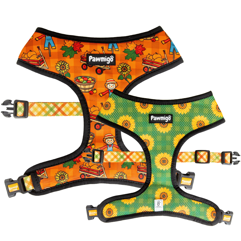 Pupkin Patch Reversible Harness - Southlake Paws