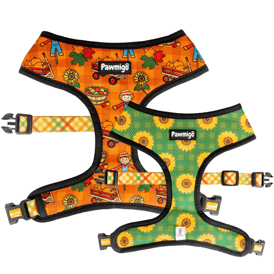 Pupkin Patch Reversible Harness - Southlake Paws