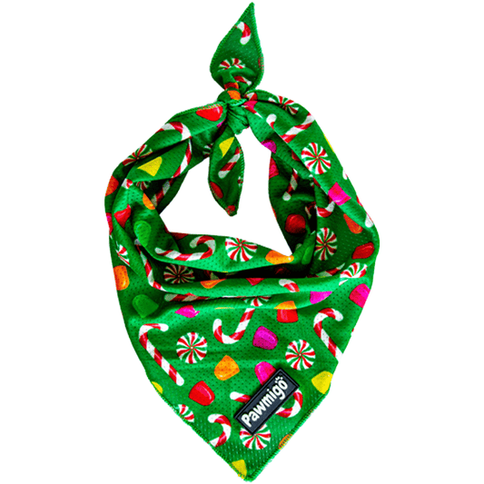 Puppermint Cooling Bandana - Southlake Paws