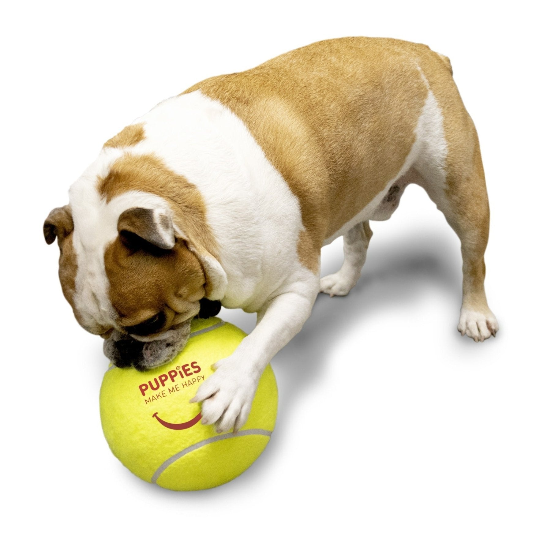 Fitness Big Tennis Ball