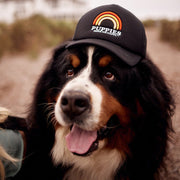 Puppies Rainbow Beach | Foam Trucker Hat