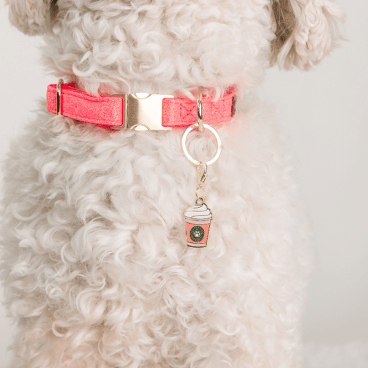 Puppuccino Pet Charm